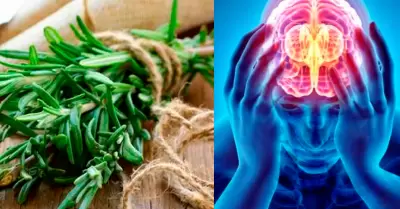 Cinco hierbas y especias que mejoran la digestin de forma natural.