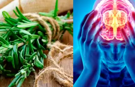 Cinco hierbas y especias que mejoran la digestin de forma natural.