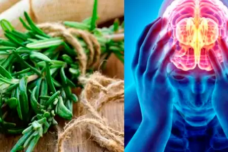 Cinco hierbas y especias que mejoran la digestin de forma natural.