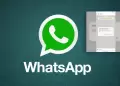 WhatsApp para invitados: As es la funcin que permite chatear sin estar registrado