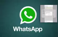 WhatsApp para invitados: As es la funcin que permite chatear sin estar registrado