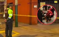 Mantuvo conversacin con delincuente: Hombre queda herido tras recibir disparos en puesto de emoliente en Lince