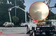 Impacto de un rayo caus estragos en Estados Unidos: Descarga interrumpi suministro elctrico por horas