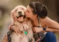 Tener un perro reduce los niveles de estrs?: Innovador estudio descubre la verdad detrs de ello