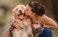 Tener un perro reduce los niveles de estrs?: Innovador estudio descubre la verdad detrs de ello