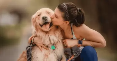 ¿Tener un perro reduce los niveles de estrés?: Innovador estudio descubre la ver