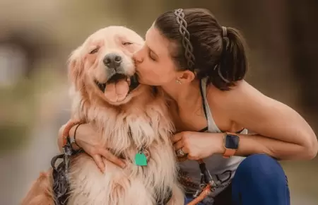 Tener un perro reduce los niveles de estrs?: Innovador estudio descubre la ver