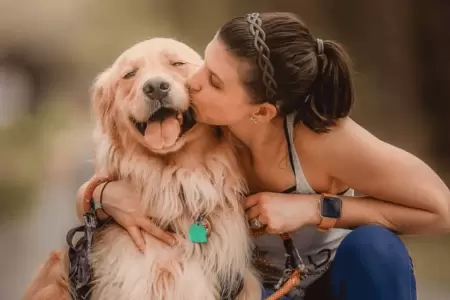 Tener un perro reduce los niveles de estrs?: Innovador estudio descubre la ver