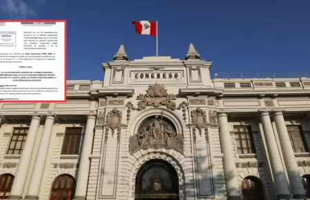 Per Libre presenta proyecto para interpretar fallo del TC sobre extincin de do