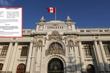 Per Libre presenta proyecto para interpretar fallo del TC sobre extincin de do