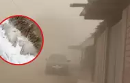 NASA capt desde el espacio los efectos de la tormenta de arena que ti el cielo de naranja en la costa peruana