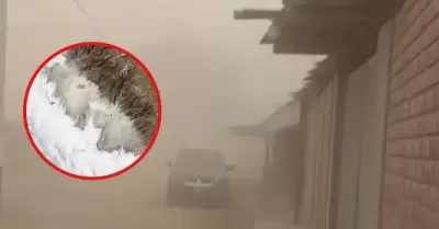 NASA capta tormenta de arena en la costa del Per