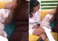 Perrita de Onelia Molina muerde a Janet Barboza en pleno programa en vivo: "Es la mala vibra"