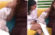 Perrita de Onelia Molina muerde a Janet Barboza en pleno programa en vivo: "Es la mala vibra"