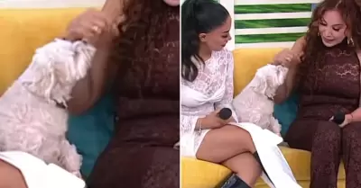 Perrita de Onelia muerde a Janet Barboza