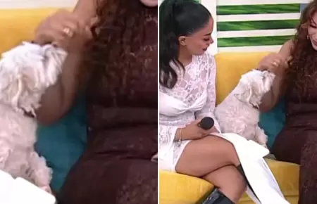 Perrita de Onelia muerde a Janet Barboza