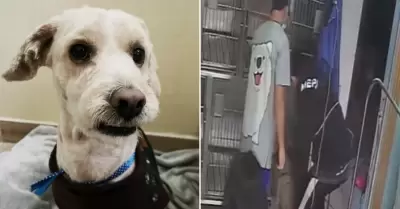 Abandonan a perrito en veterinaria