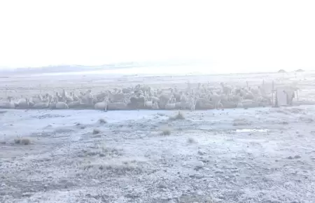 Advierten precipitaciones en la sierra peruana.