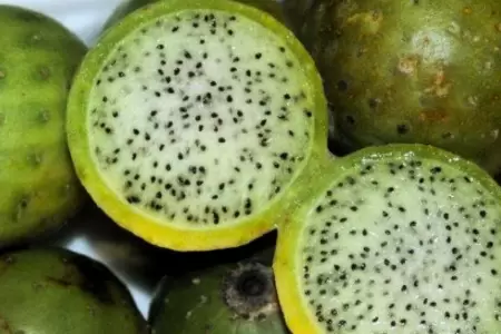 El super fruto andino rico en propiedades antioxidantes