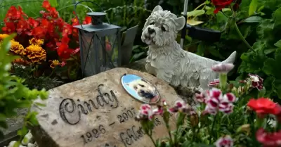 Cementerio para mascotas en Iquitos
