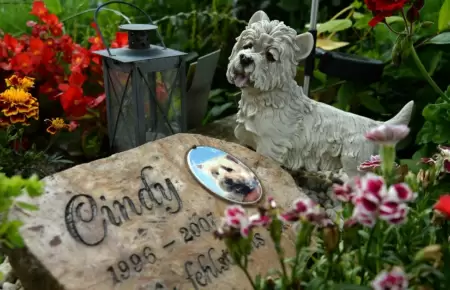 Cementerio para mascotas en Iquitos