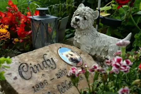 Cementerio para mascotas en Iquitos