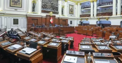 Jos Jer defiende la virtualidad en el Congreso.