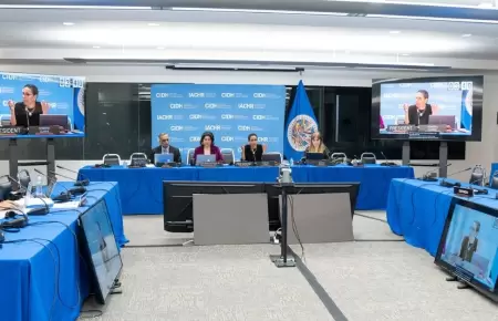CIDH rechaza ley de amnista promulgada por la presidenta Dina Boluarte.