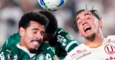 Martn Prez Guedes se pronuncia luego que la U fuera goleada por Palmeiras