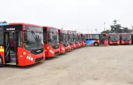 Empresa de transporte vctima de extorsin present nueva flota: 50 buses nuevos saldrn a las calles