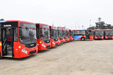 Los nuevos buses de 'El Rpido'.