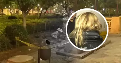 Esposa de extranjero asesinado en Plaza San Martn revel los motivos.