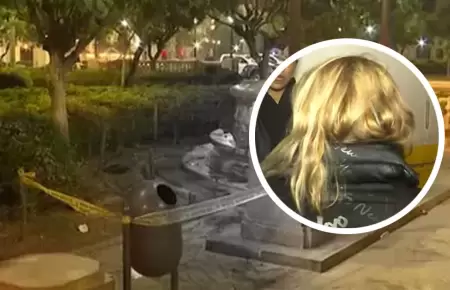 Esposa de extranjero asesinado en Plaza San Martn revel los motivos.