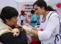 Campaa Nacional de Vacunacin Antirrbica Canina GRATUITA empieza este 16 de agosto