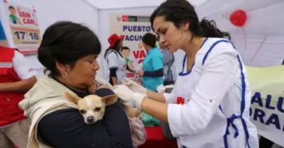 Este 16 de agosto empieza la campaa de prevencin antirrbica canina