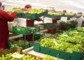 Per se posiciona sobre Chile en agroexportaciones durante 2025: Envos superan los US$ 10,194 millones