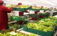 Per se posiciona sobre Chile en agroexportaciones durante 2025: Envos superan los US$ 10,194 millones