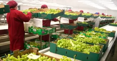 Per superara en agroexportacin a Chile