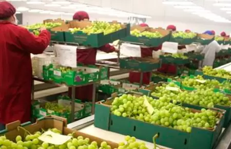 Per superara en agroexportacin a Chile