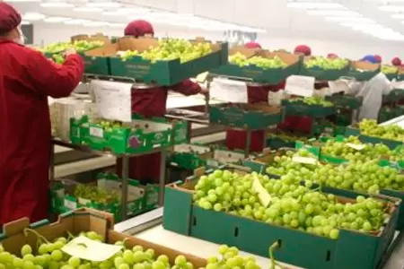 Per superara en agroexportacin a Chile