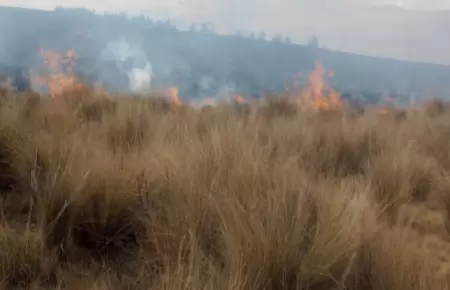 Extinguen nuevo incendio forestal en Pasco.