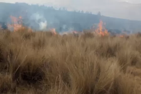 Extinguen nuevo incendio forestal en Pasco.
