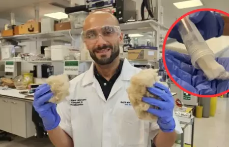 El material de queratina extrado del cabello podra utilizarse para crear dent