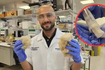 El material de queratina extrado del cabello podra utilizarse para crear dent
