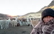 Senamhi activa alerta roja por descenso EXTREMO de temperatura en 13 provincias: Valores llegaran a -17C