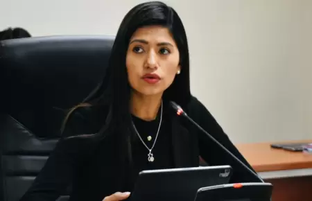 Diana Gonzales a favor de un debate tcnico de la Ley Mape.