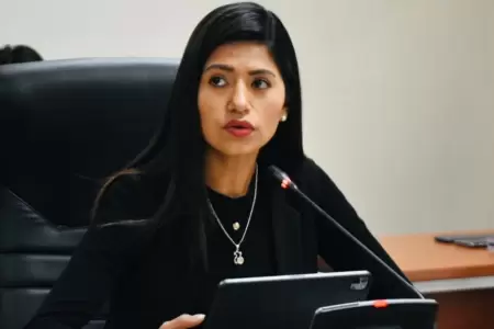 Diana Gonzales a favor de un debate tcnico de la Ley Mape.