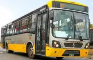 Corredor Amarillo regresa a las calles de Lima: ATU revela fecha del reinicio de operaciones