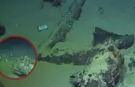 Hallazgo histrico: Francia descubre un buque mercante del siglo XVI a ms de 2,500 metros en el Mediterrneo