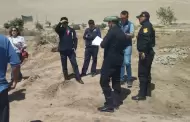 Municipalidad de Pocollay retira cerca de 400 rboles plantados en las faldas del cerro Arunta